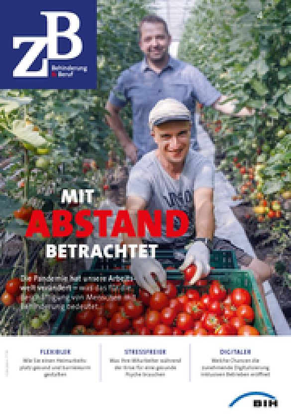 Titelbild der Zeitschrift ZB Behinderung und Beruf